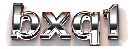 bxq1 logo